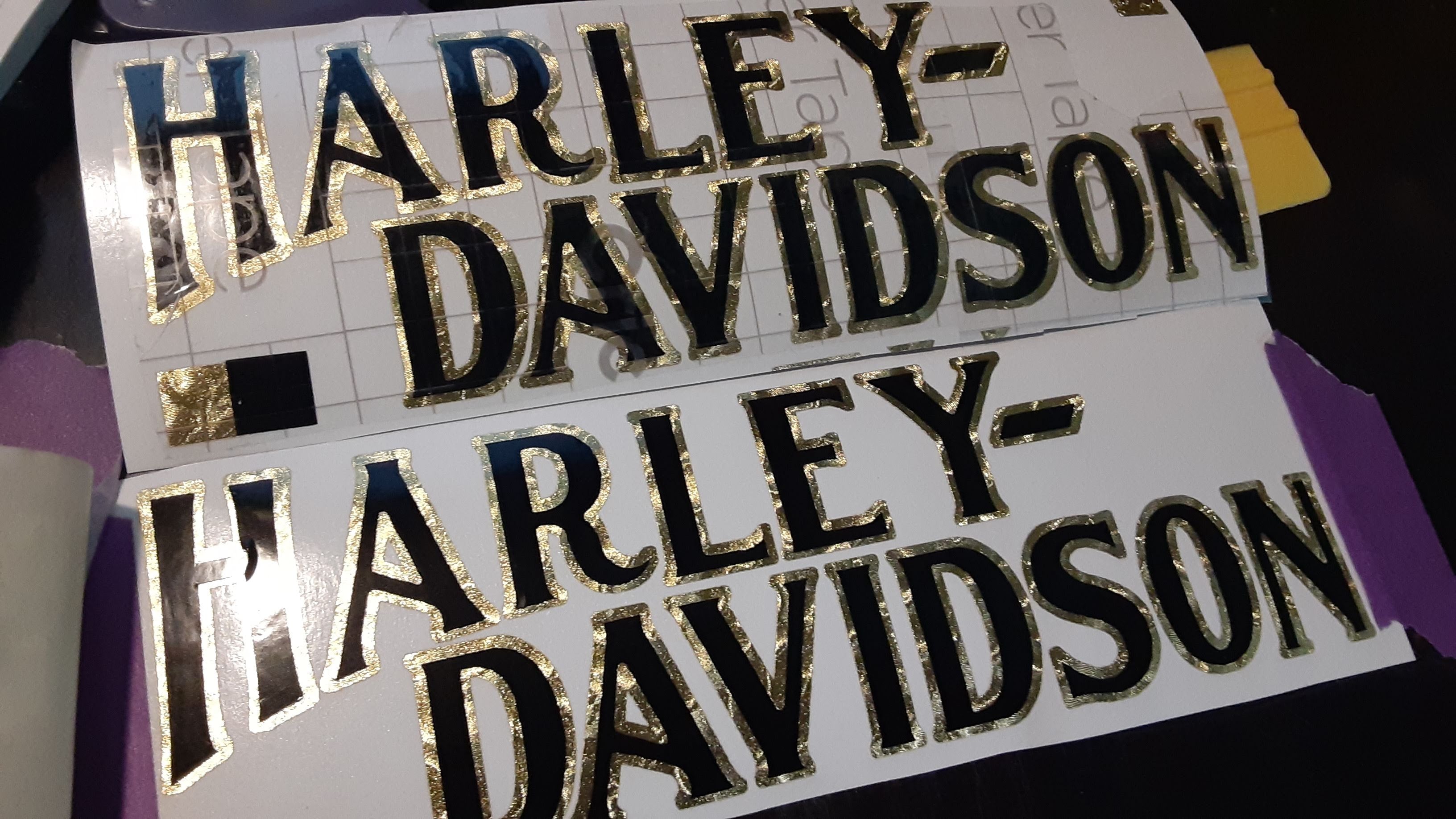 FXE DIE CUT