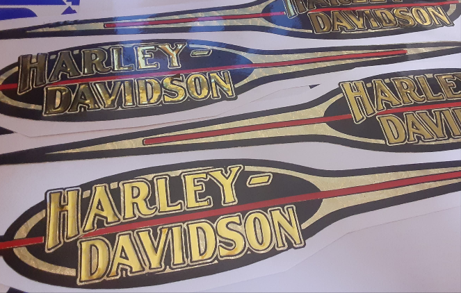 FXR DIE CUT