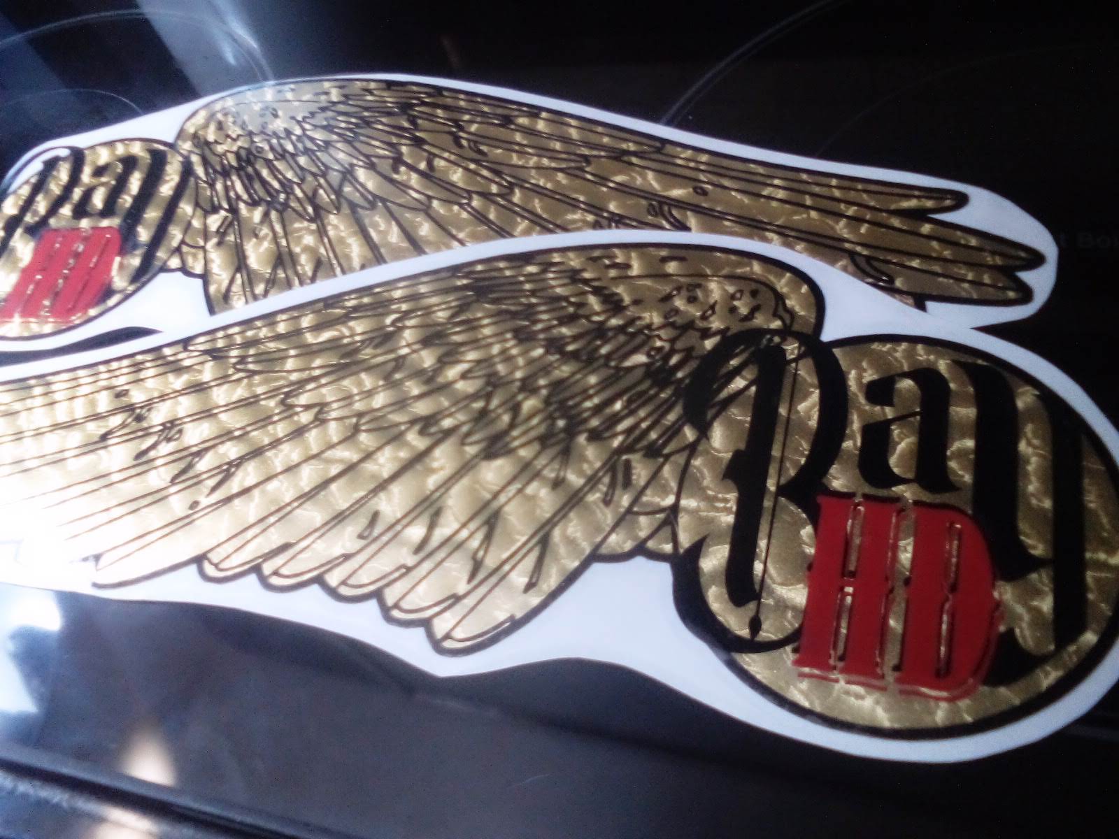 XL WINGS